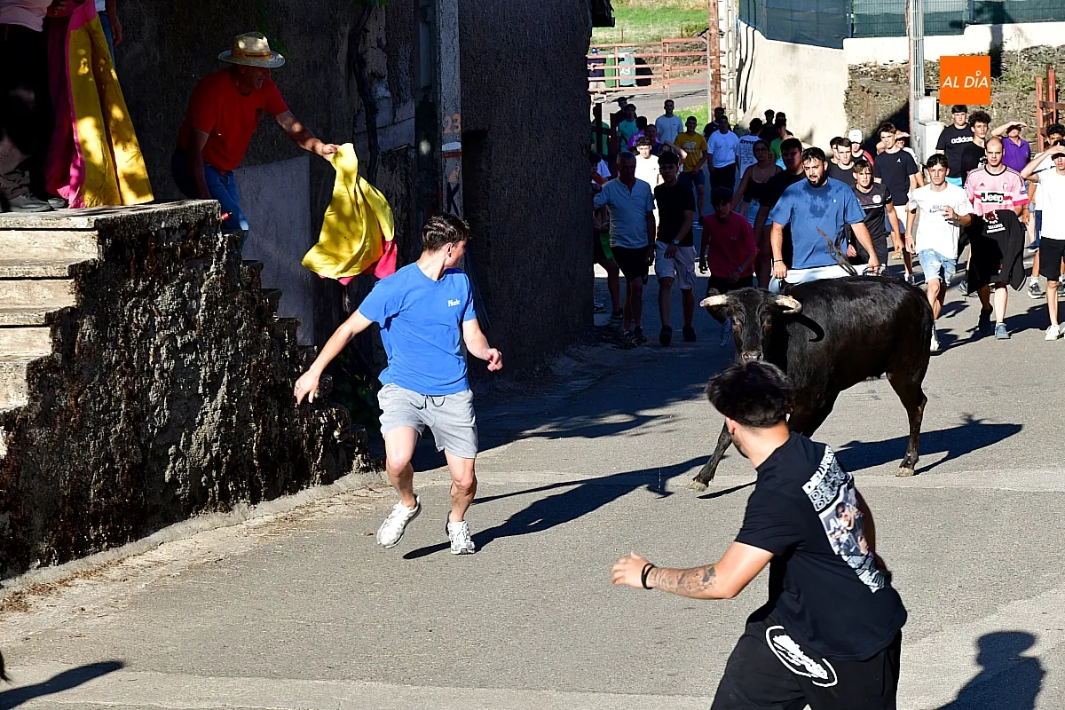 Capea popular en Robleda por San Juan