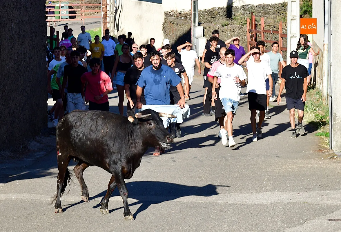 Capea popular en Robleda por San Juan