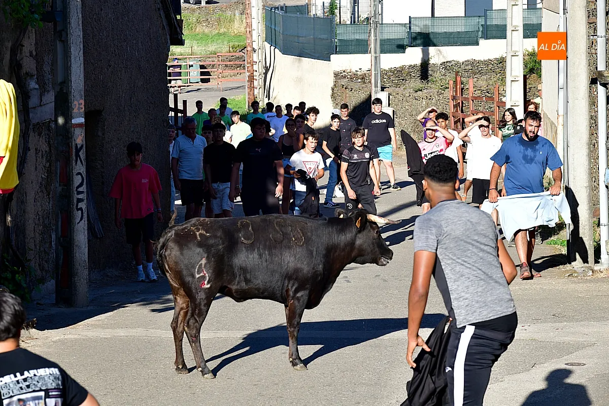 Capea popular en Robleda por San Juan