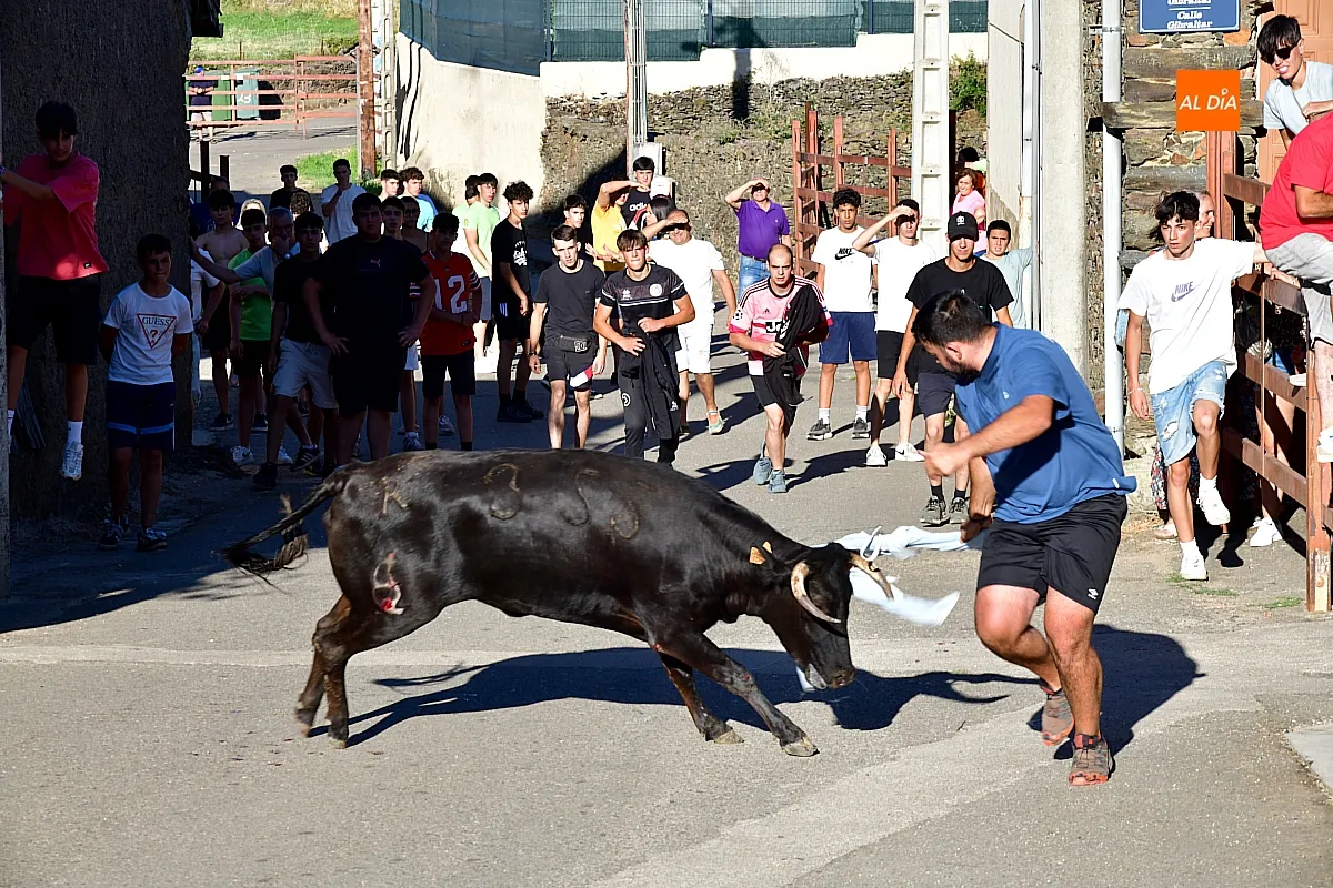 Capea popular en Robleda por San Juan