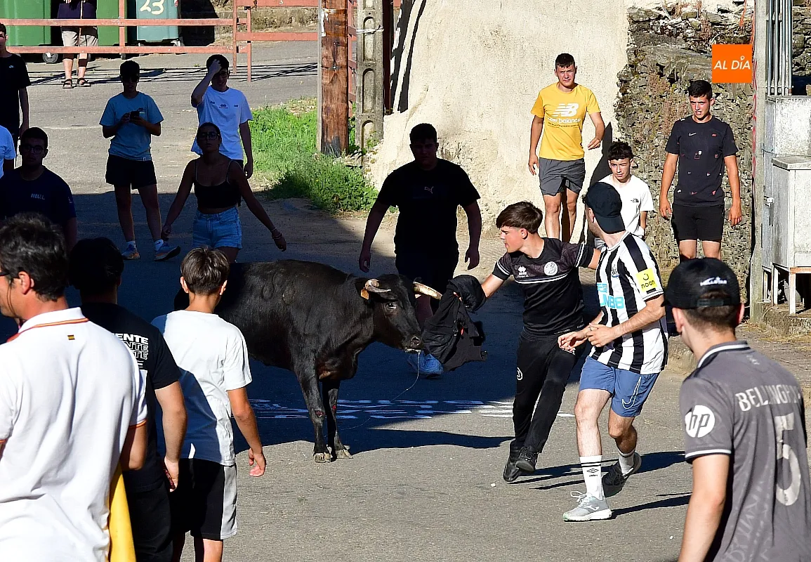 Capea popular en Robleda por San Juan