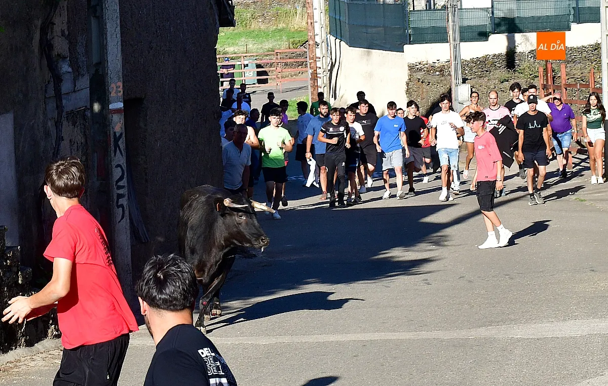 Capea popular en Robleda por San Juan