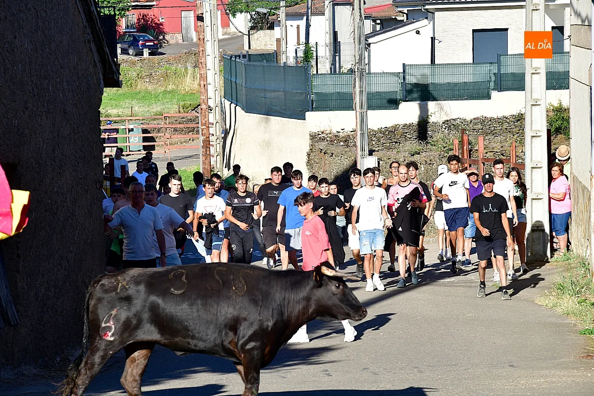 Capea popular en Robleda por San Juan