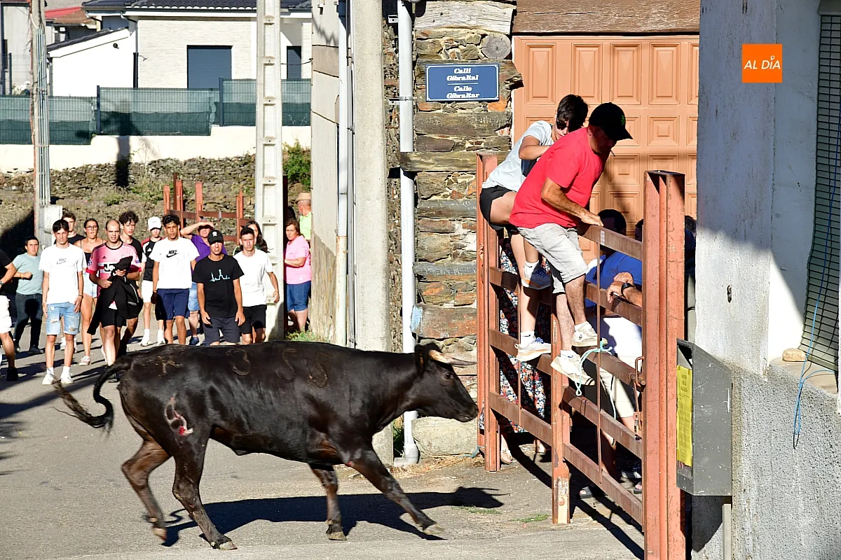 Capea popular en Robleda por San Juan