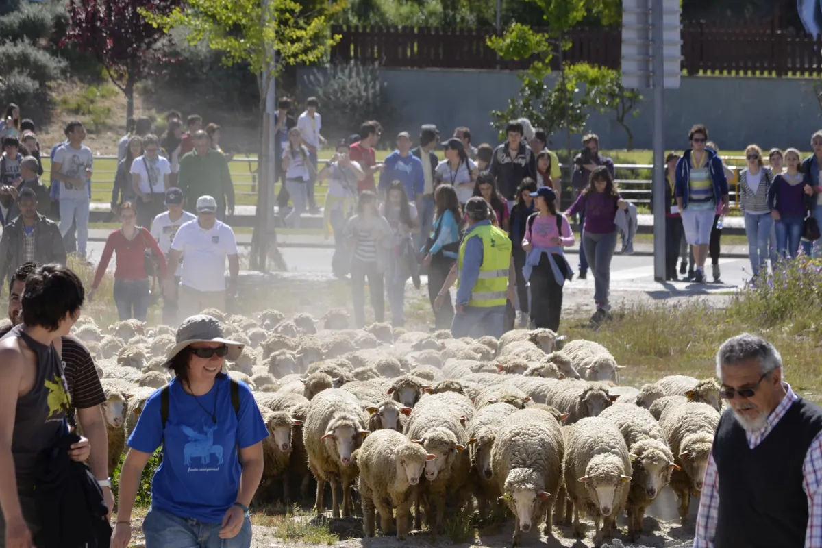 Grande Rota da Transumância 2026, Portugal | FOTOS: Grande Rota da Transumância e Municípios