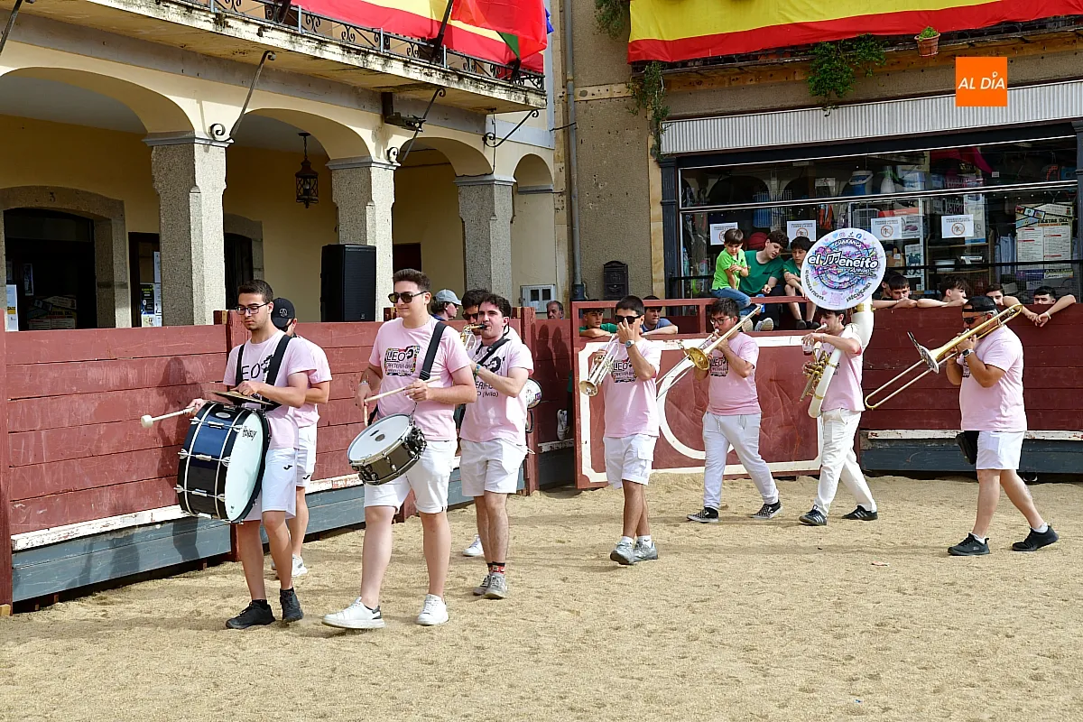 Desfile peñas disfraces La Fuente de San Esteban