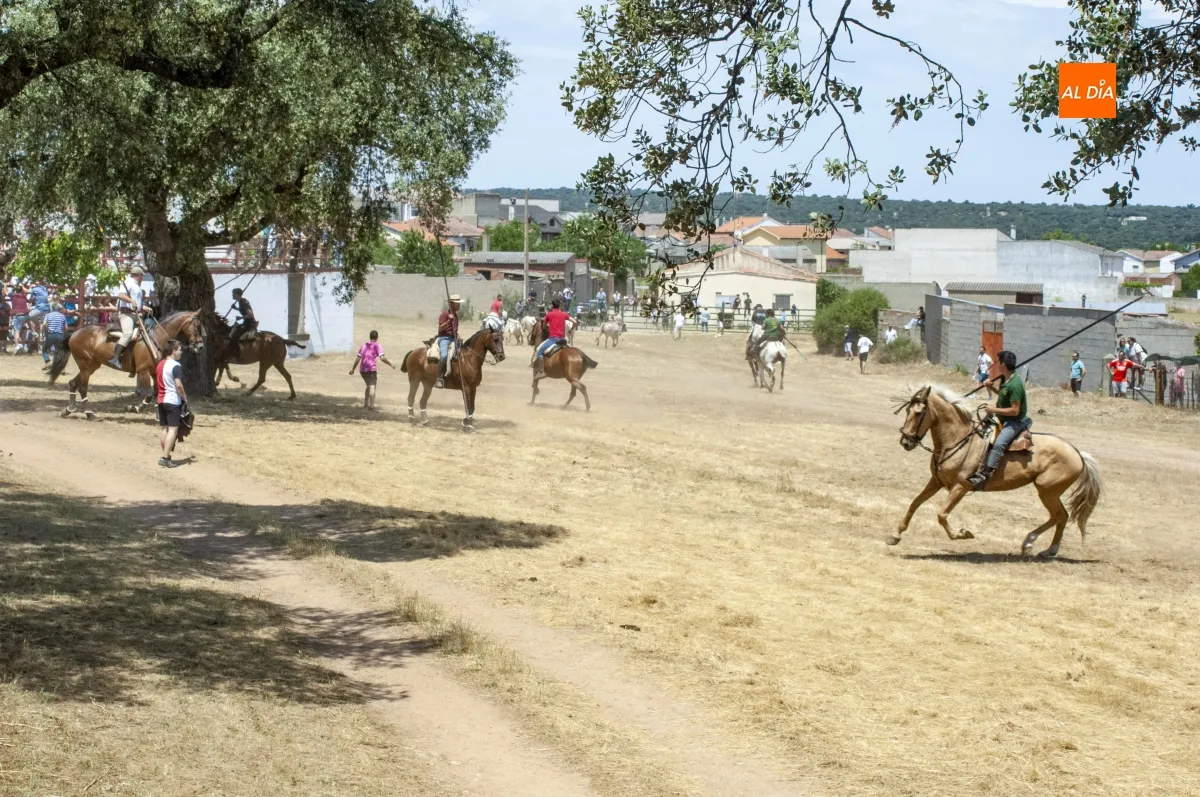 Encierro a Caballo Campillo de Azaba