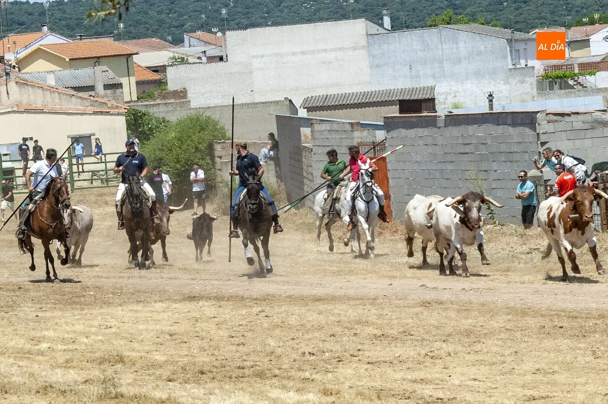 Encierro a Caballo Campillo de Azaba