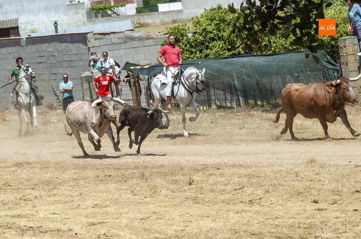 Encierro a Caballo Campillo de Azaba