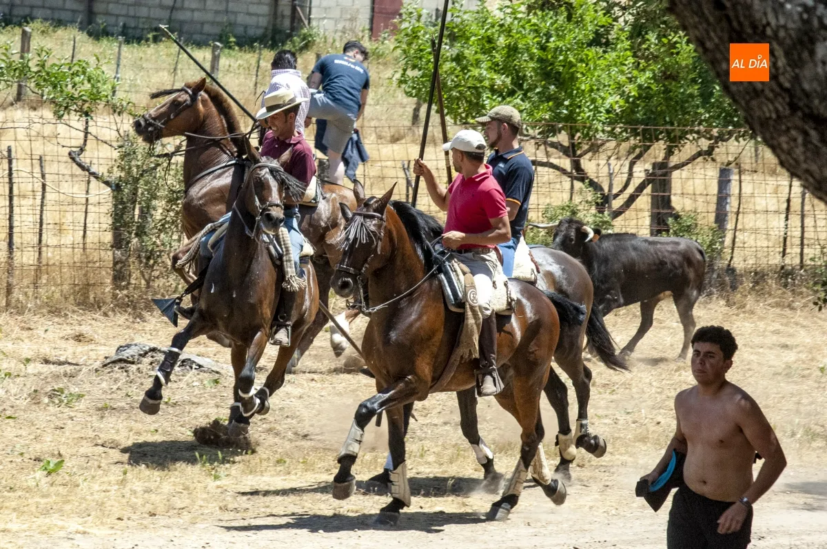 Encierro a Caballo Campillo de Azaba