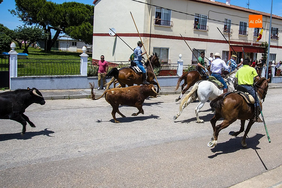 Encierro a caballo y paella en las fietas del Corpus de La Fuente de San Esteban
