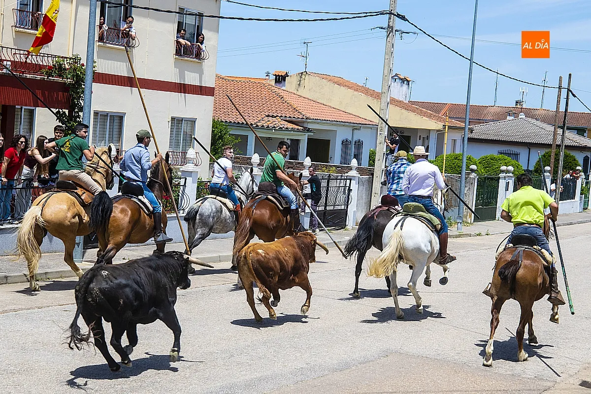 Encierro a caballo y paella en las fietas del Corpus de La Fuente de San Esteban