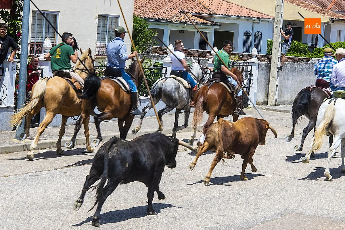 Encierro a caballo y paella en las fietas del Corpus de La Fuente de San Esteban