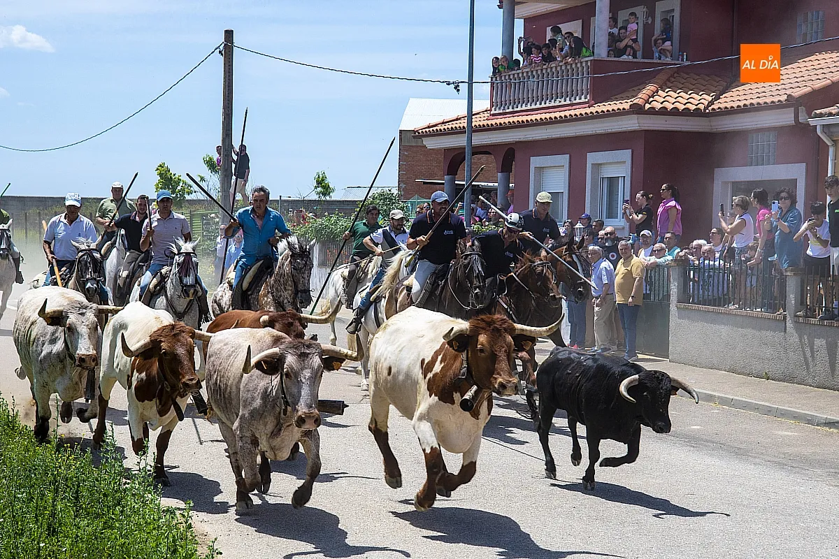 Encierro a caballo y paella en las fietas del Corpus de La Fuente de San Esteban