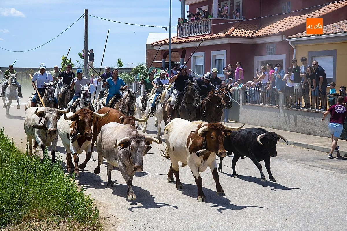 Encierro a caballo y paella en las fietas del Corpus de La Fuente de San Esteban