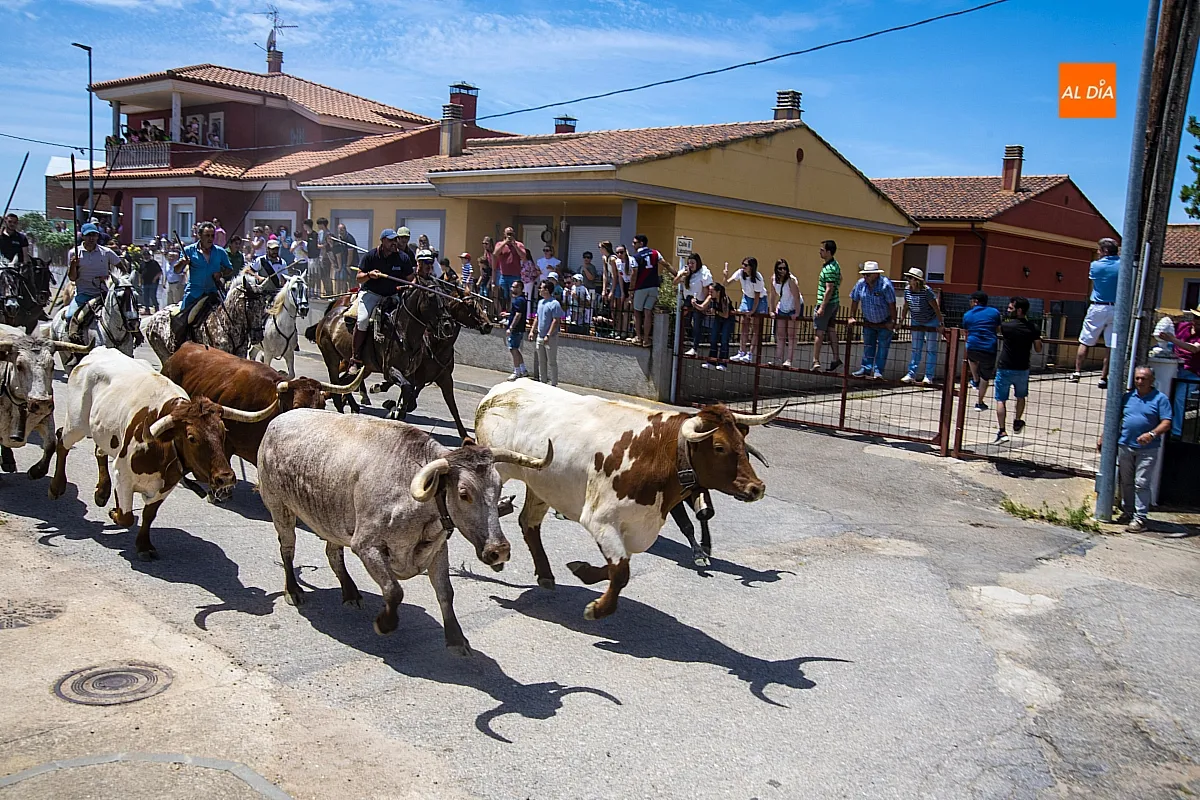 Encierro a caballo y paella en las fietas del Corpus de La Fuente de San Esteban