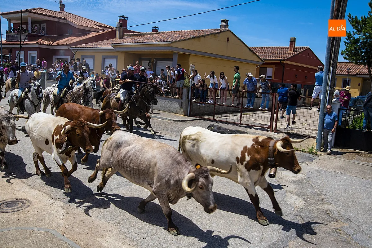 Encierro a caballo y paella en las fietas del Corpus de La Fuente de San Esteban