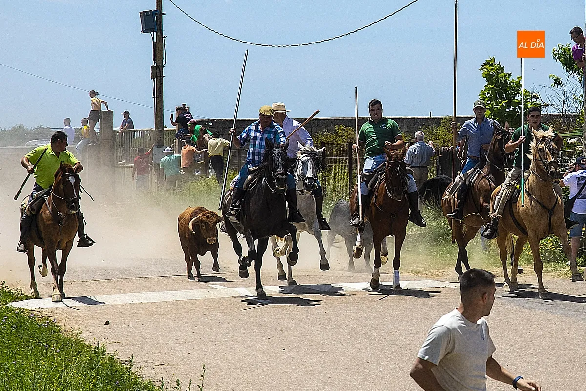 Encierro a caballo y paella en las fietas del Corpus de La Fuente de San Esteban
