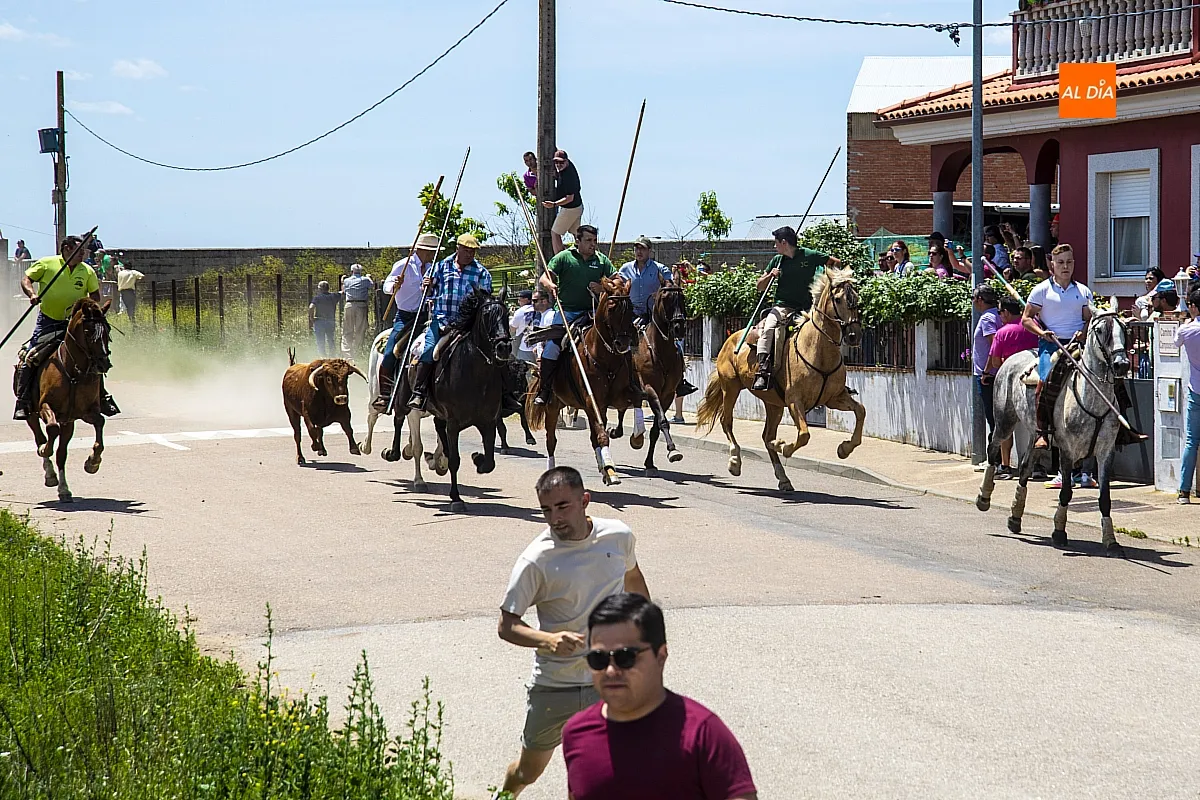 Encierro a caballo y paella en las fietas del Corpus de La Fuente de San Esteban