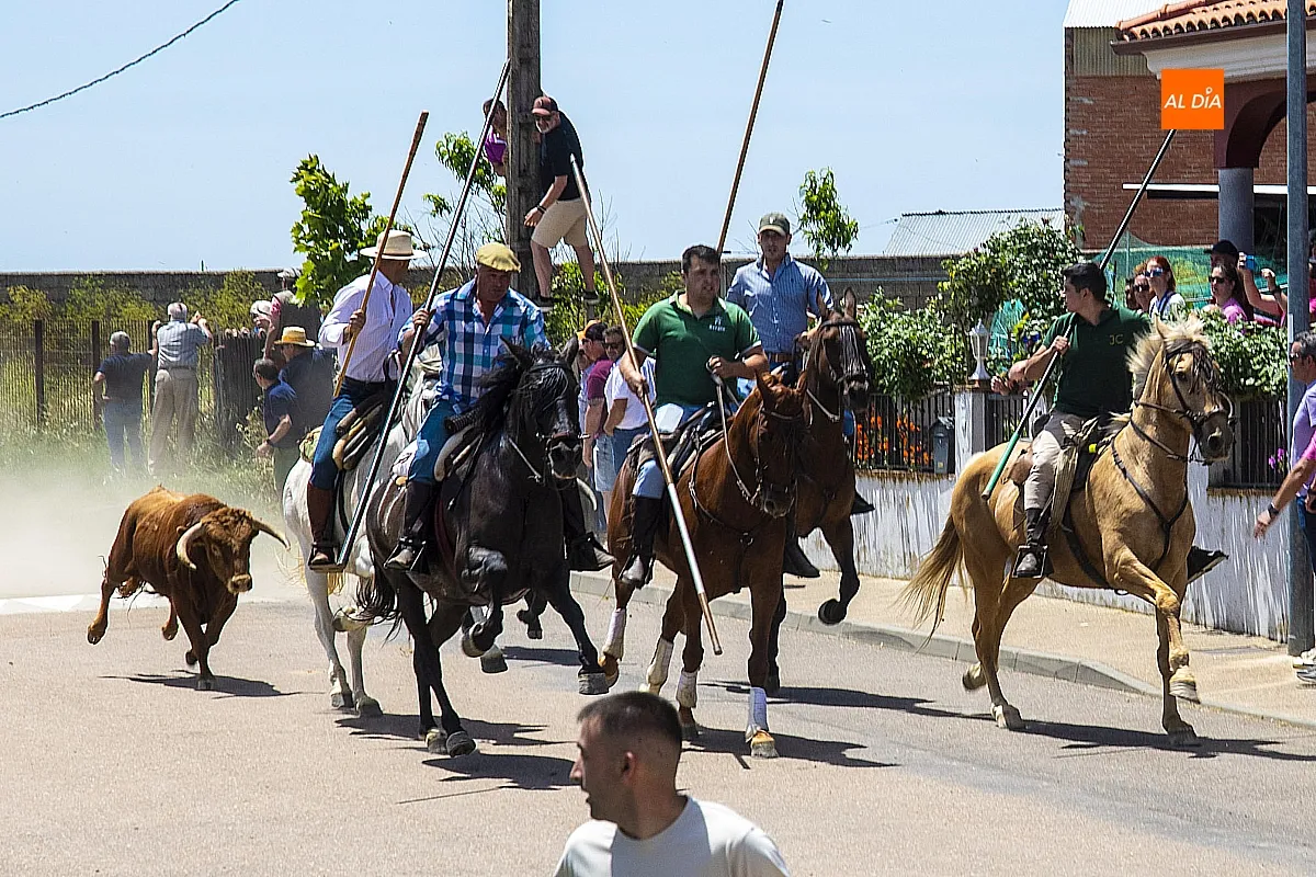 Encierro a caballo y paella en las fietas del Corpus de La Fuente de San Esteban