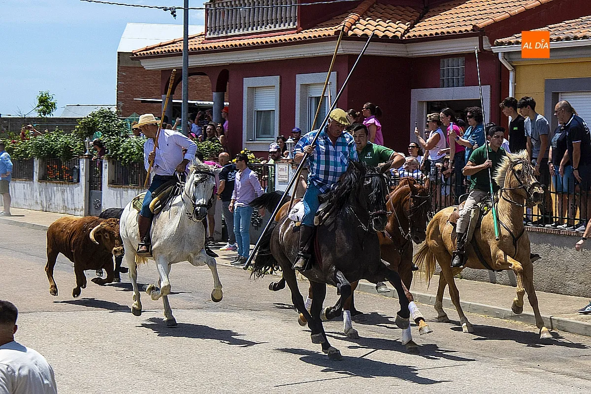 Encierro a caballo y paella en las fietas del Corpus de La Fuente de San Esteban