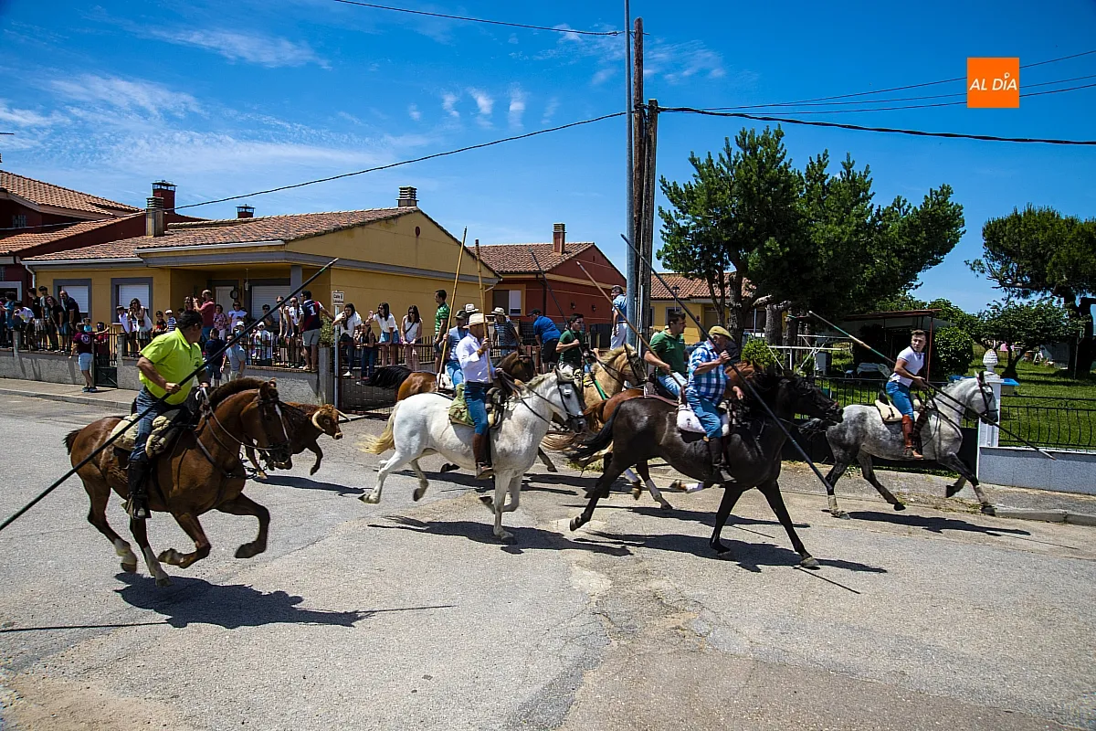 Encierro a caballo y paella en las fietas del Corpus de La Fuente de San Esteban