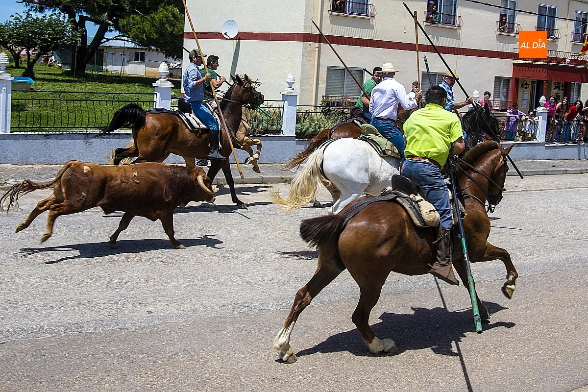 Encierro a caballo y paella en las fietas del Corpus de La Fuente de San Esteban