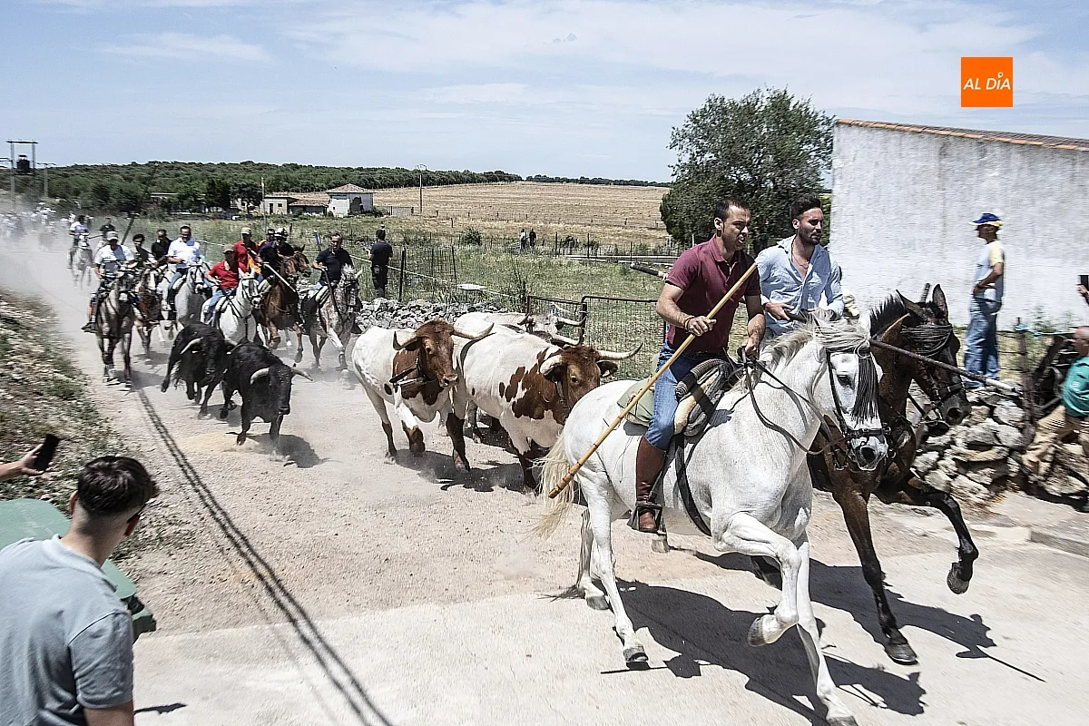 Encierro a caballo Martín de Yeltes