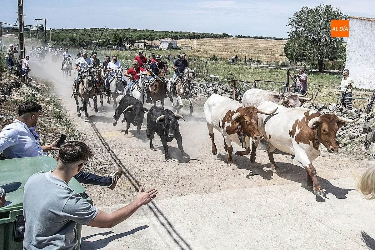 Encierro a caballo Martín de Yeltes