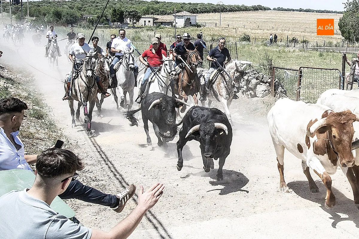 Encierro a caballo Martín de Yeltes