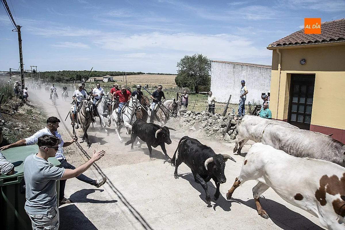 Encierro a caballo Martín de Yeltes
