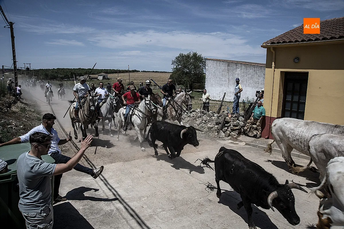 Encierro a caballo Martín de Yeltes