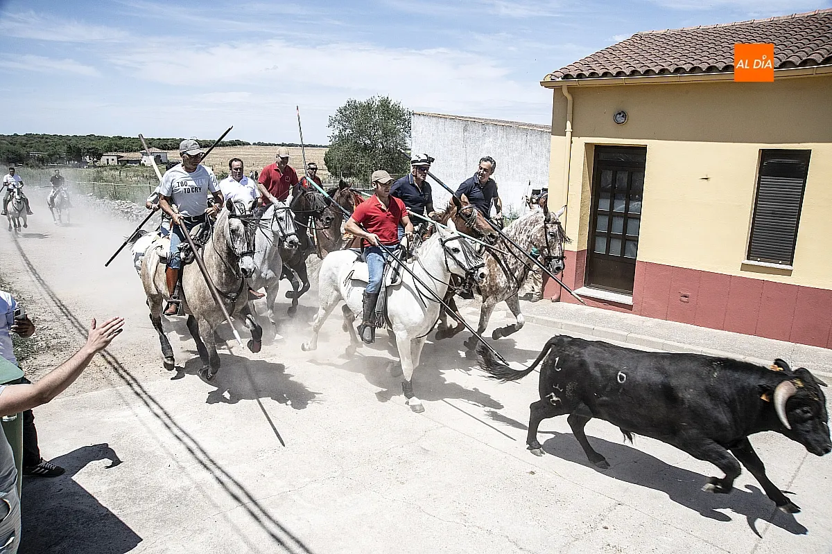 Encierro a caballo Martín de Yeltes
