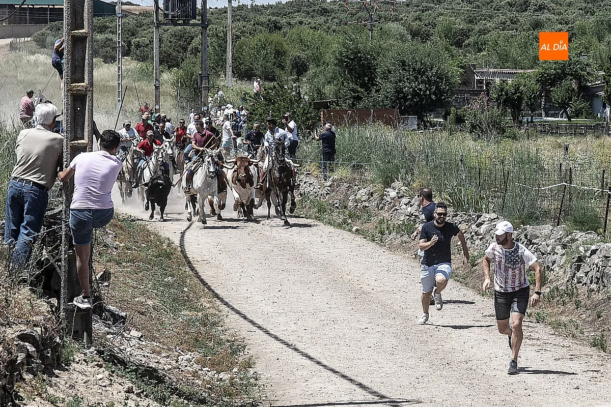 Encierro a caballo Martín de Yeltes