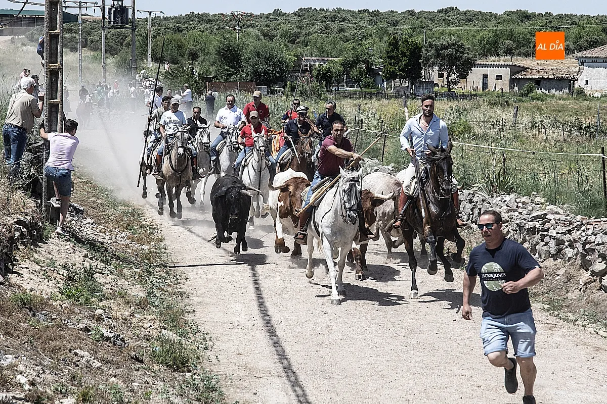 Encierro a caballo Martín de Yeltes