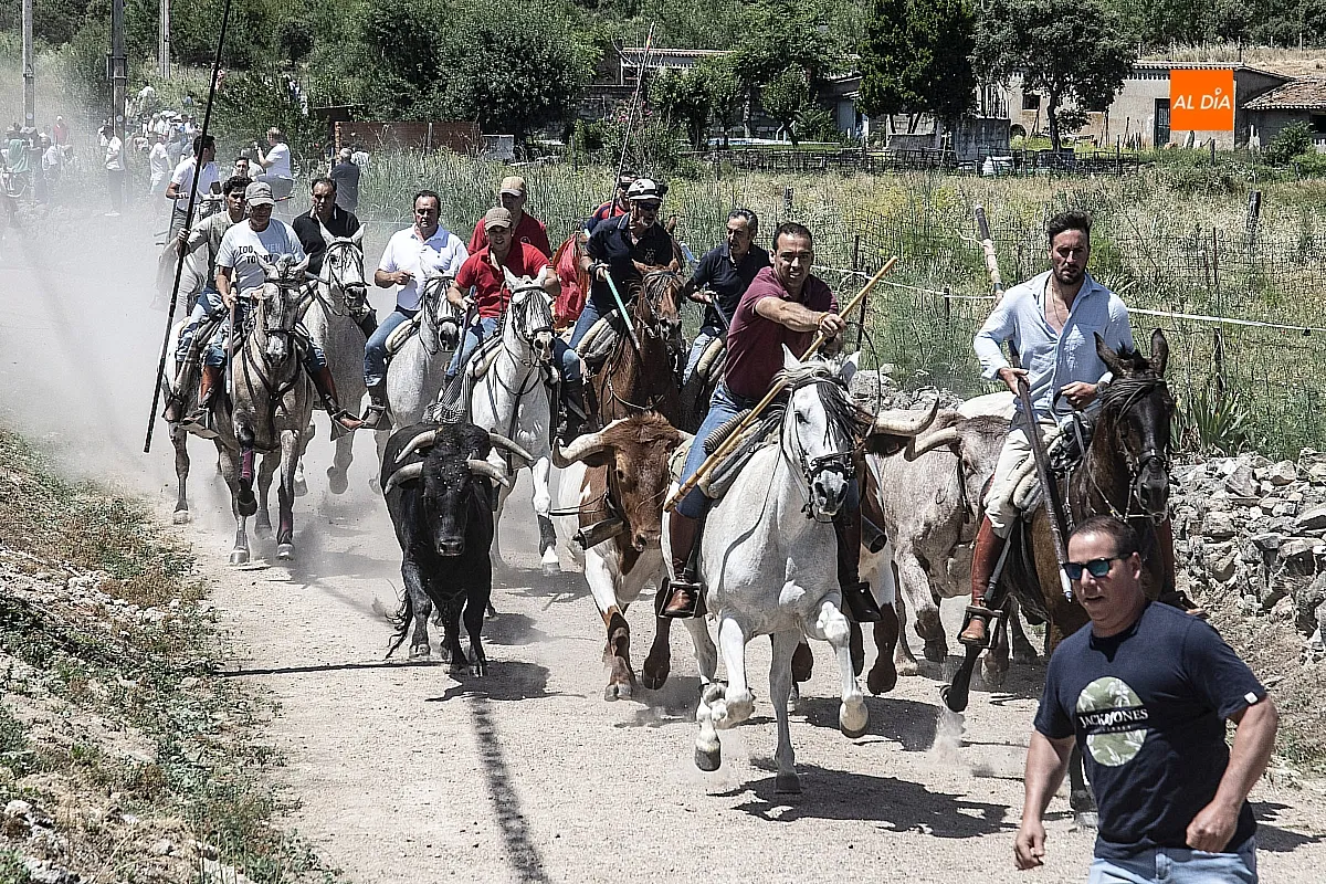 Encierro a caballo Martín de Yeltes