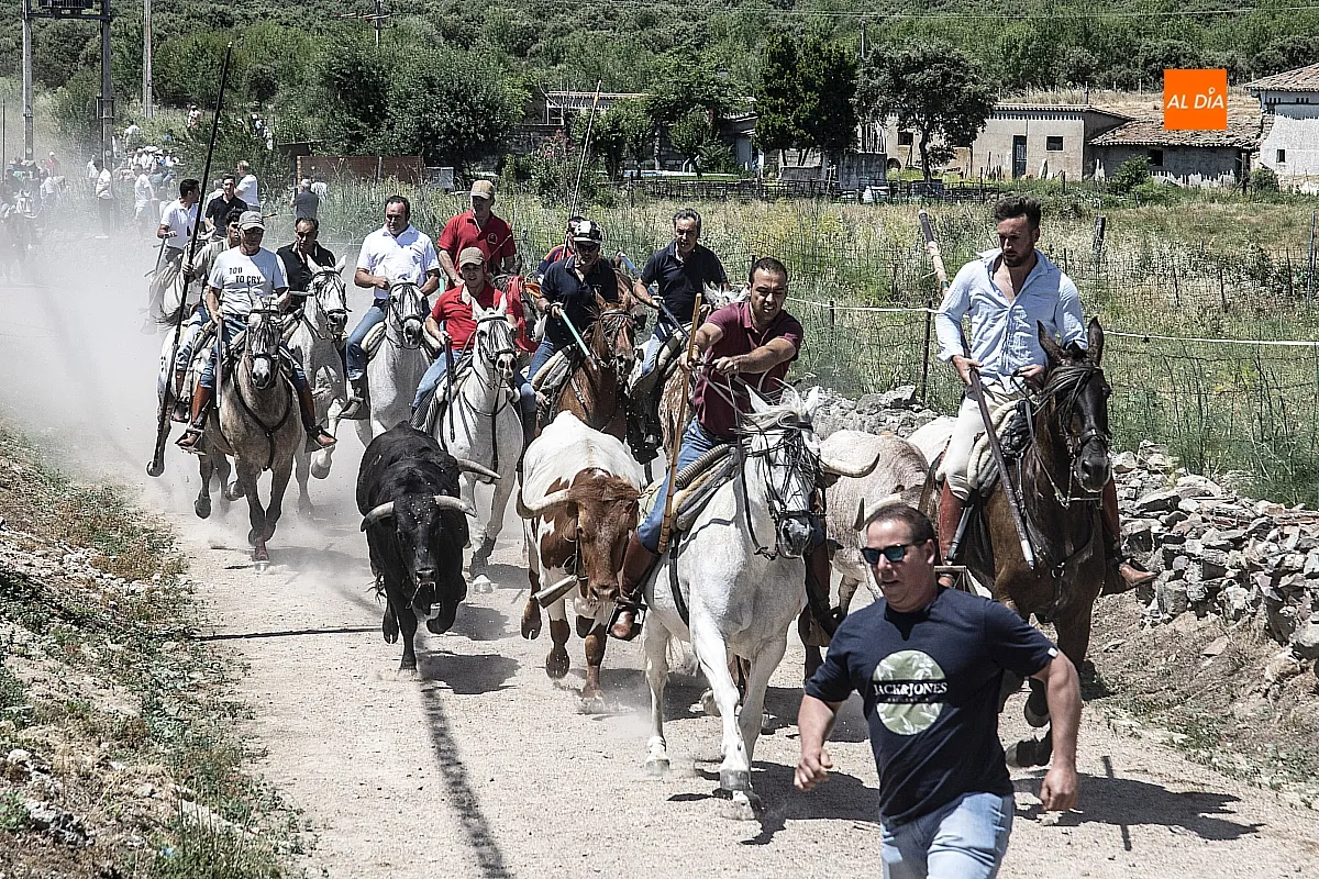 Encierro a caballo Martín de Yeltes