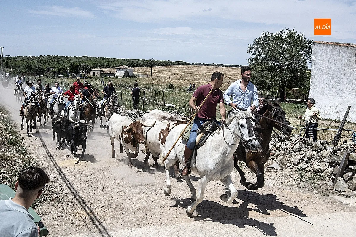 Encierro a caballo Martín de Yeltes
