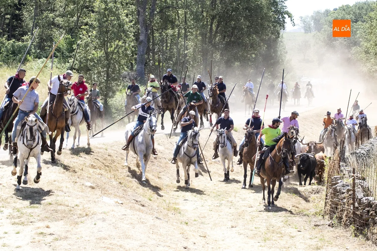 Encierro a Caballo Navasfrías por San Juan