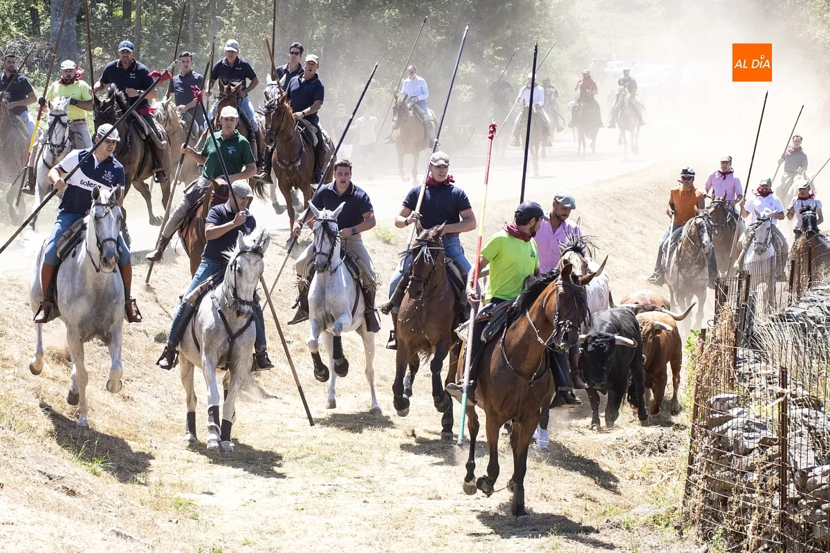 Encierro a Caballo Navasfrías por San Juan