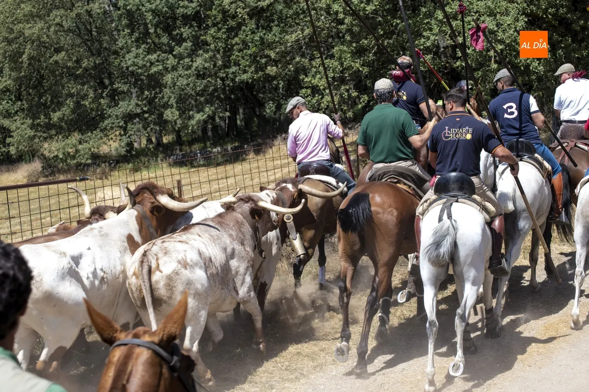 Encierro a Caballo Navasfrías por San Juan