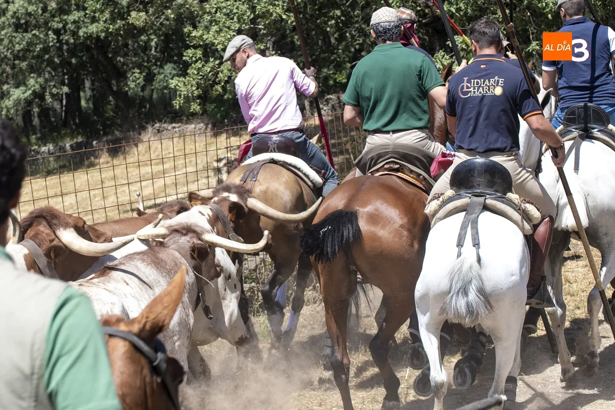 Encierro a Caballo Navasfrías por San Juan