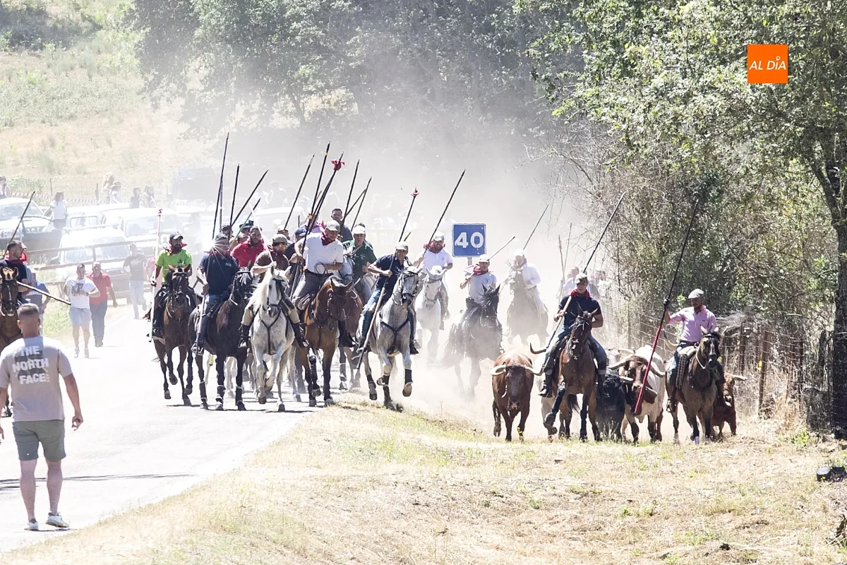 Encierro a Caballo Navasfrías por San Juan