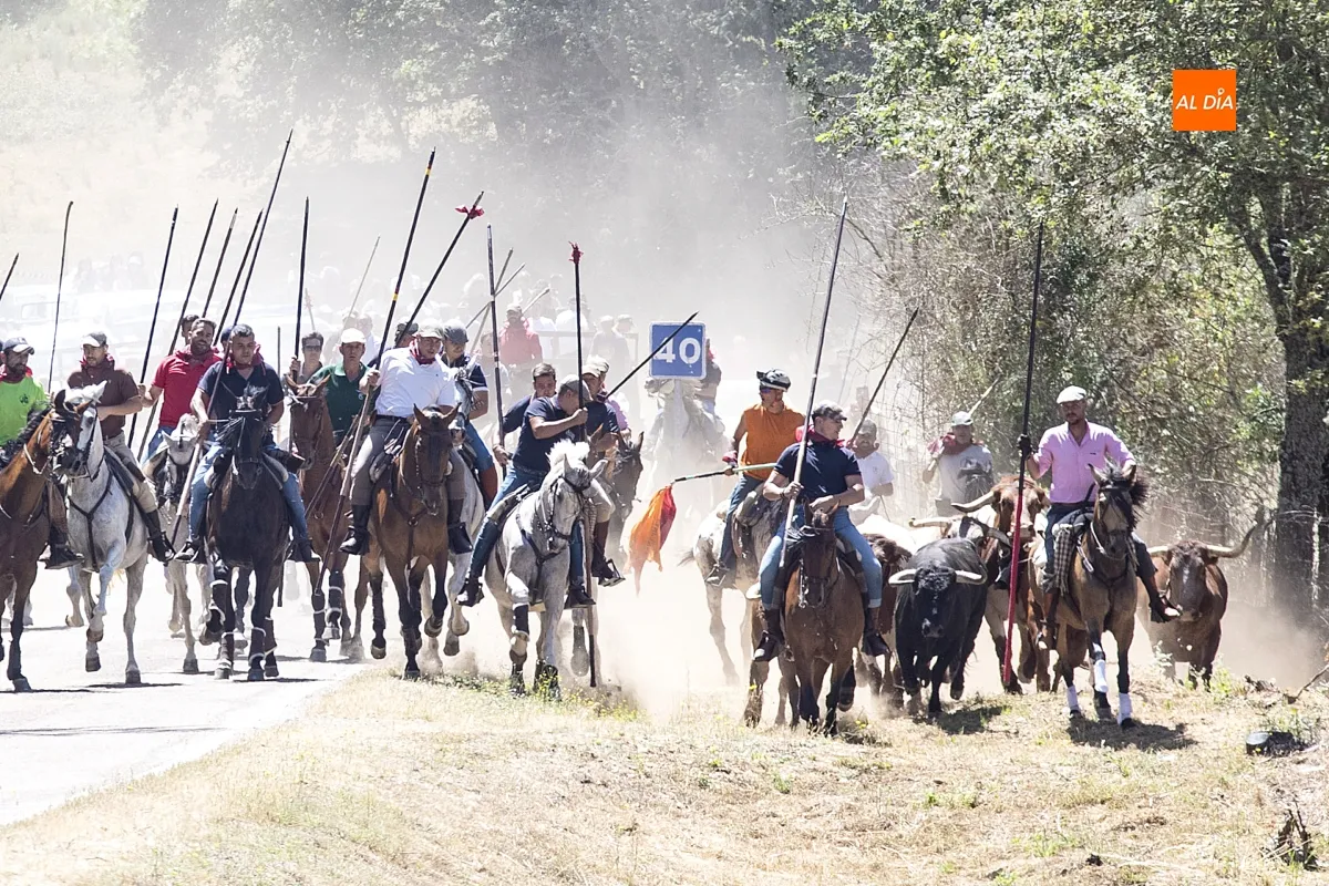 Encierro a Caballo Navasfrías por San Juan