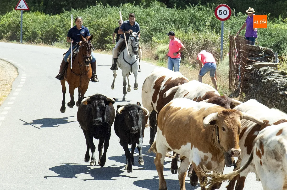 Encierro a Caballo en Robleda por San Juan