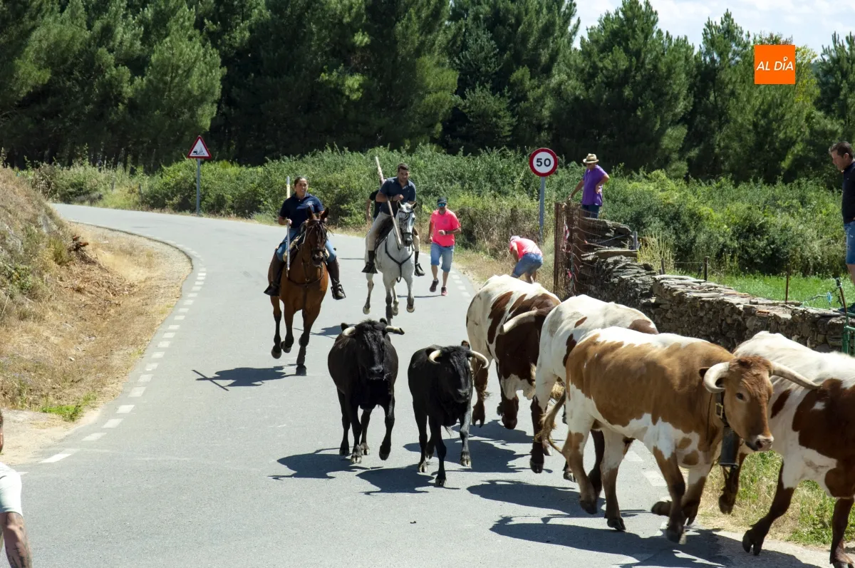 Encierro a Caballo en Robleda por San Juan