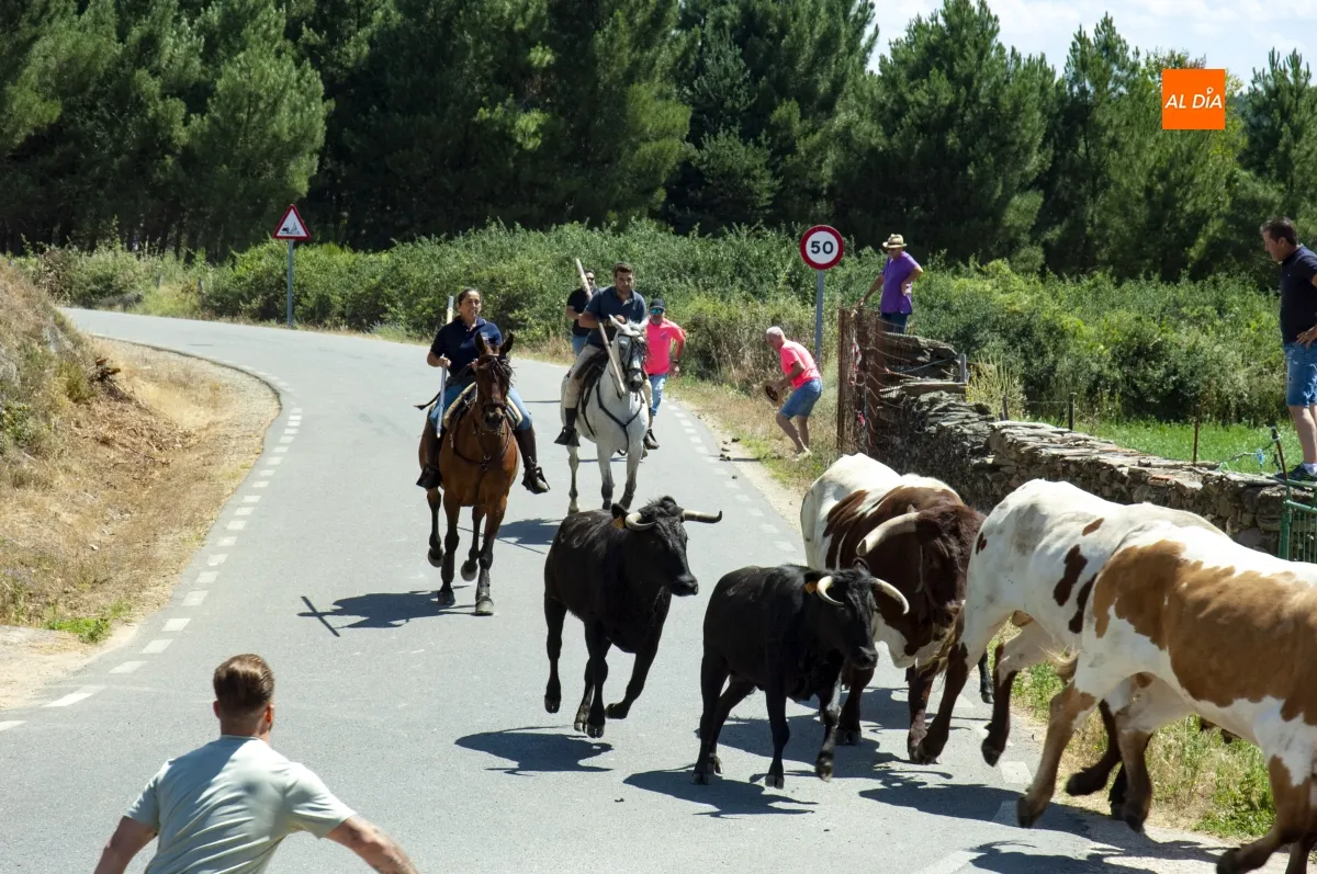 Encierro a Caballo en Robleda por San Juan