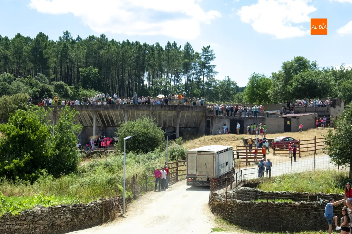 Encierro a Caballo en Robleda por San Juan