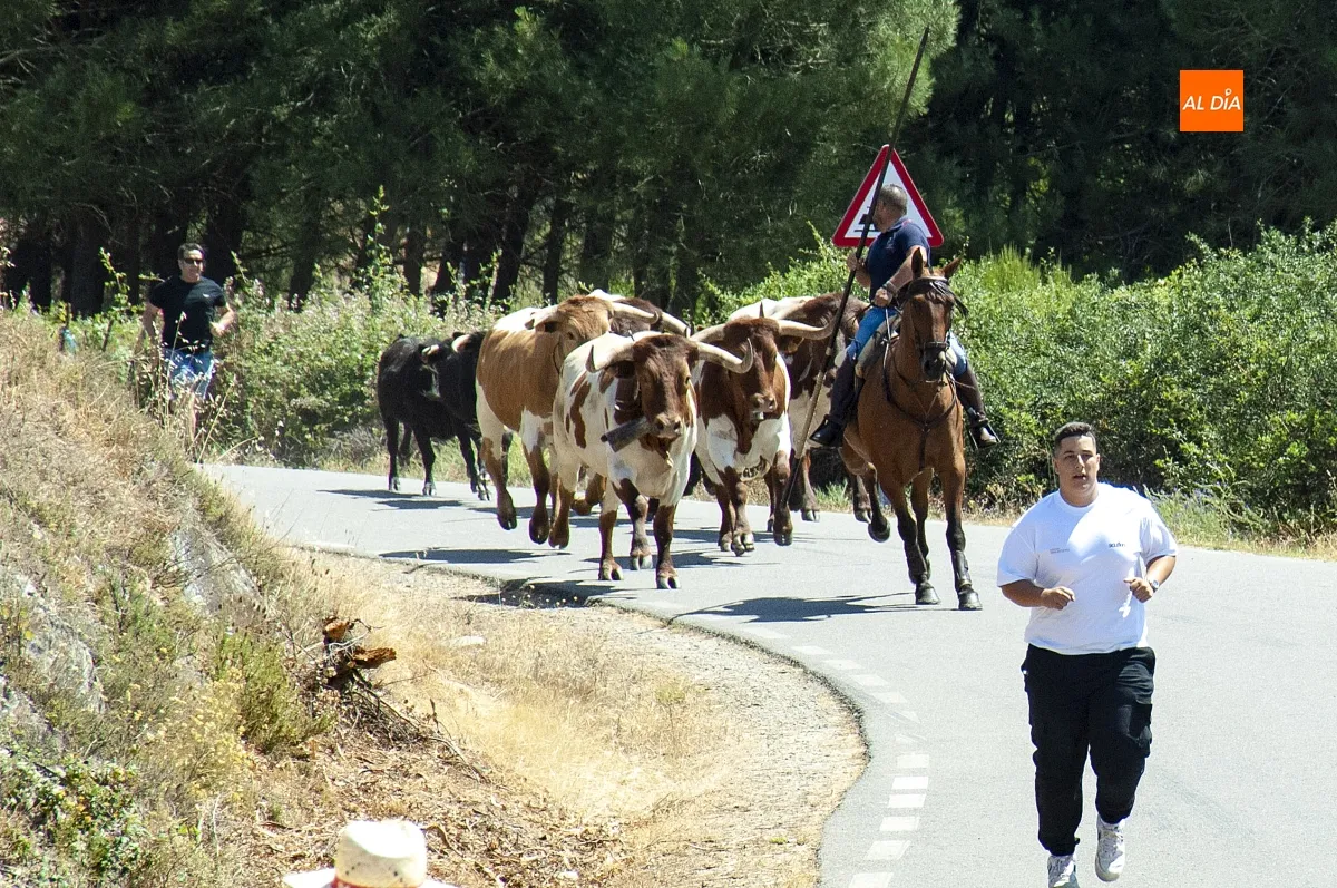Encierro a Caballo en Robleda por San Juan
