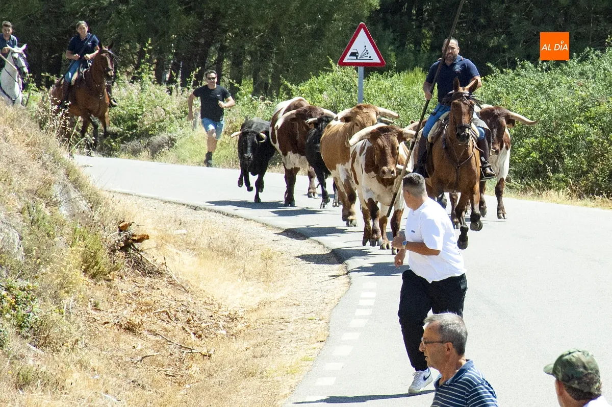 Encierro a Caballo en Robleda por San Juan